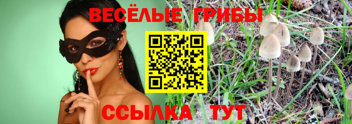 Псилоцибиновые грибы Magic Shrooms  Галлюциногенные грибы Psilocybine cubensis  Лениногорск  Вход с VPN 